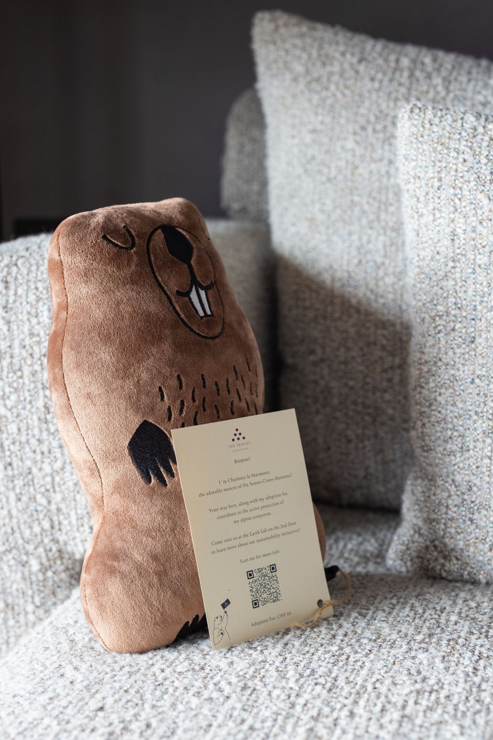 Charlotte la Marmotte